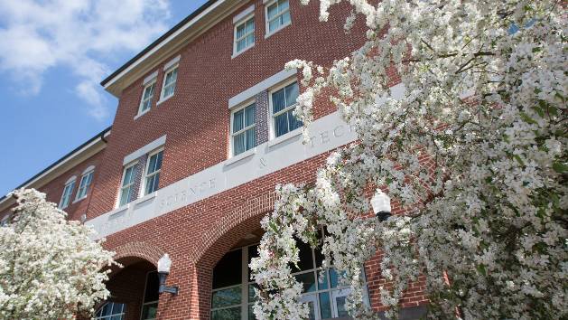 Flowers are blooming outside of Eberly Hall.