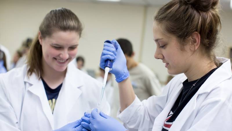 Students conduct research at PennWest California in lab.